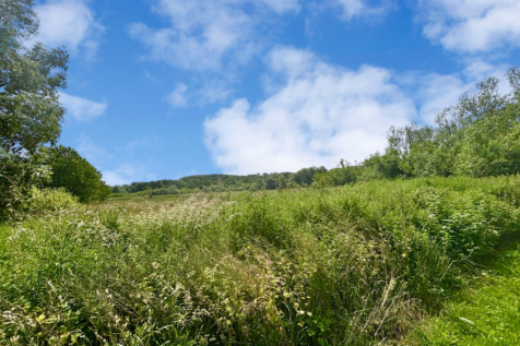 Property Image 39