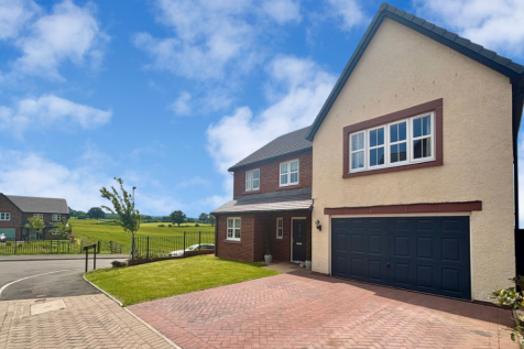 Property Image 44