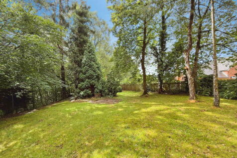 Property Image 47