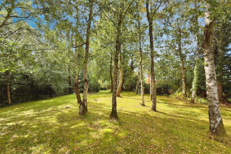 Property Image 48