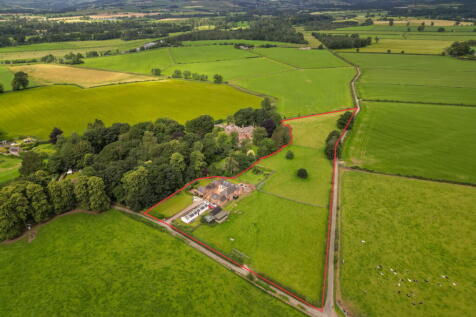 Property Image 66