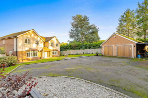 Property Image 44