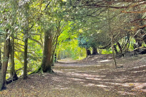 Property Image 35
