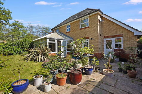 Property Image 22