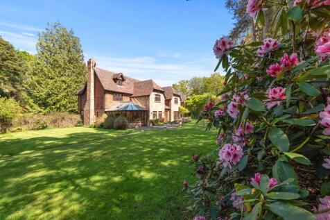 Property Image 38