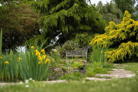 Property Image 12