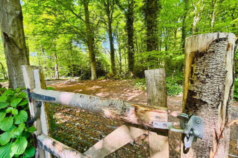Property Image 35