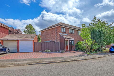 Property Image 19