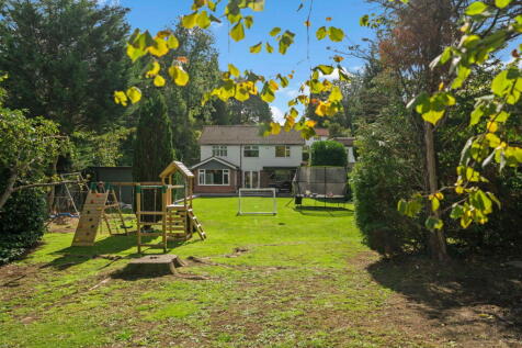 Property Image 41