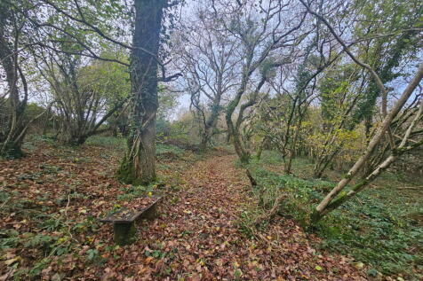 Property Image 60