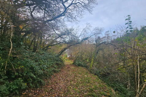 Property Image 61