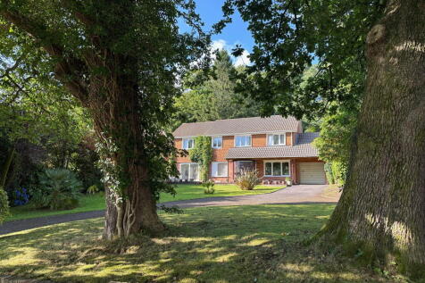 Property Image 42
