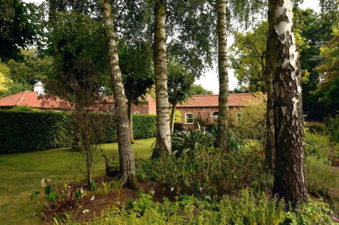 Property Image 58
