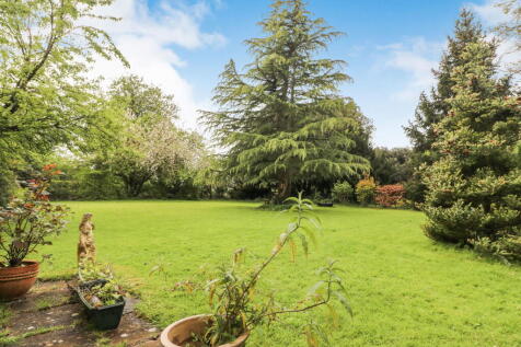Property Image 36