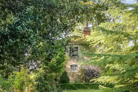 Property Image 43