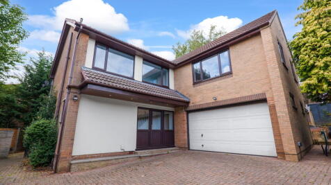 Property Image 47