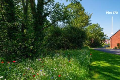 Olive Park Plot 170 Layton View