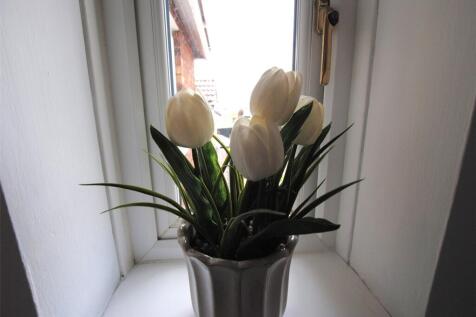 Flowers On Window