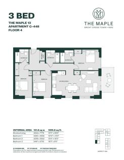 Maple13-C-3B-448