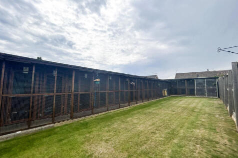 Cattery