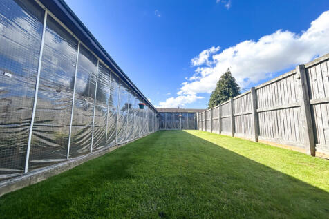 Cattery