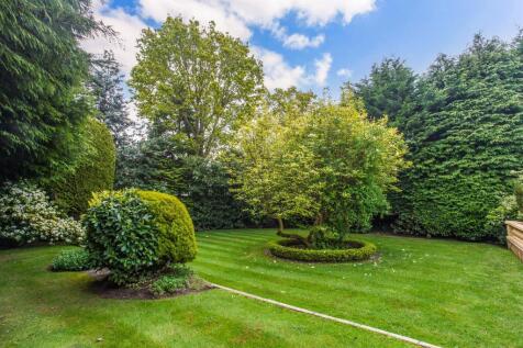 Garden 2.jpeg
