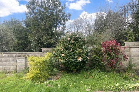 Back Garden