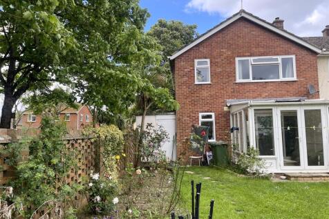 Back Garden