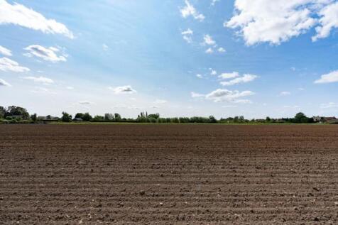 Field Views