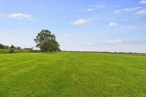 Field Views