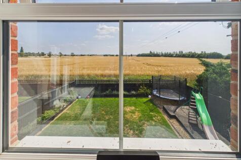 Garden/Field View