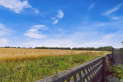Field View