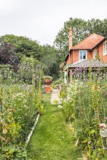 Property Image 31