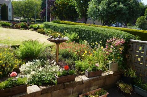 VENDOR PHOTO Spring Time