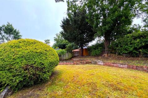 New garden (3).jpg
