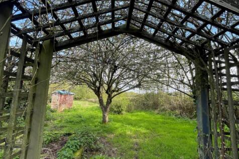 Garden 6.jpg