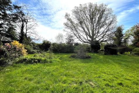 Garden 7.jpg