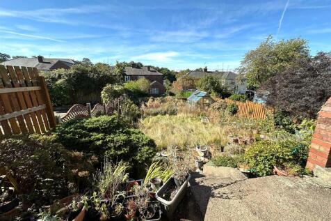 garden 2.jpg