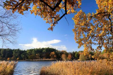 Frensham Pond