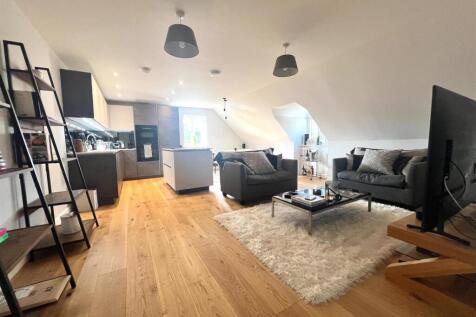Kitchen / Living / Dining