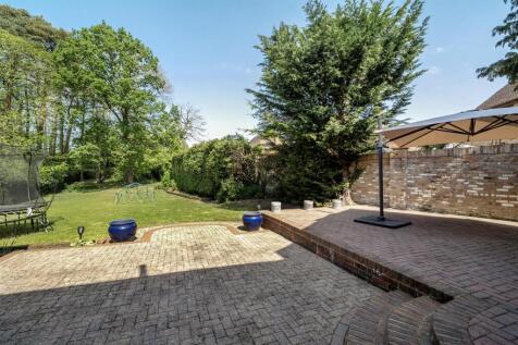 Patio Area