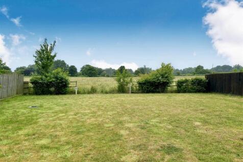 Local Fields