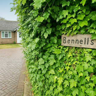 Sign