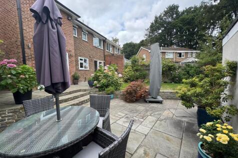 Lower Patio