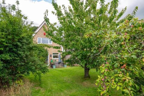 Fruit Trees