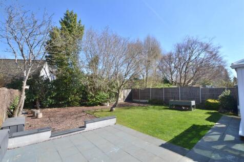 new garden 3 .JPG
