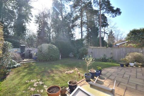 Garden 2.JPG