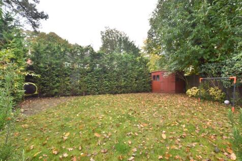 Garden 3.JPG
