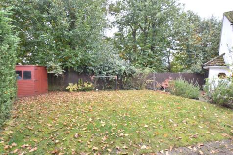 Garden 4.JPG