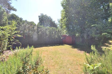 Garden .JPG